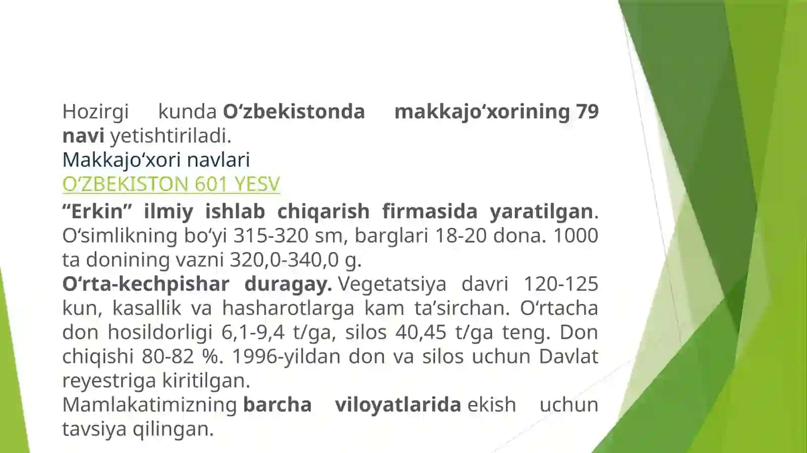 Makkajo’xori–sug’oriladigansharoitdadonuchunyetishtirish 4