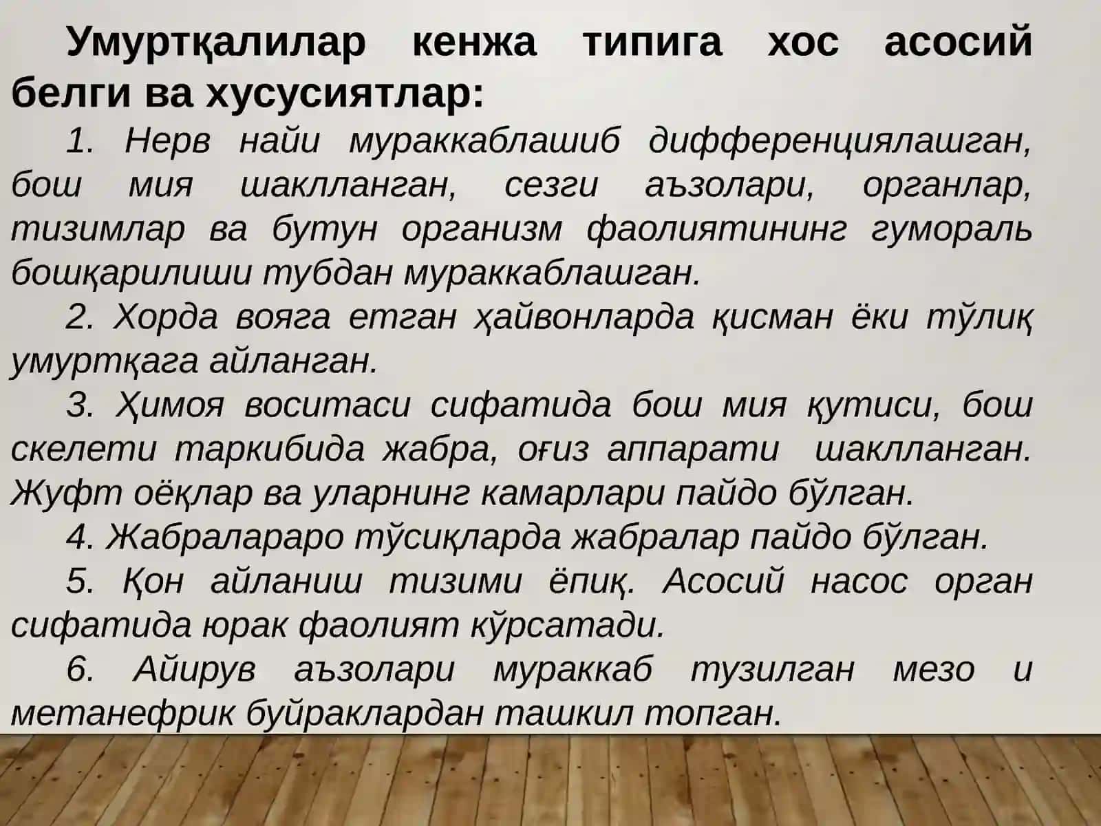 Умуртқалилар– Vertebrata ёки Бош скелетлилар-Craniata кенжа типи 4
