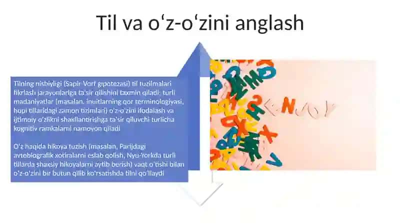 Psixik jarayonlarni shakllanishida tilning ahamiyati 4