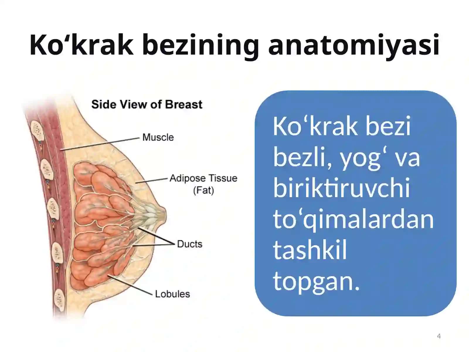 Ko‘krak bezi saratoni 4