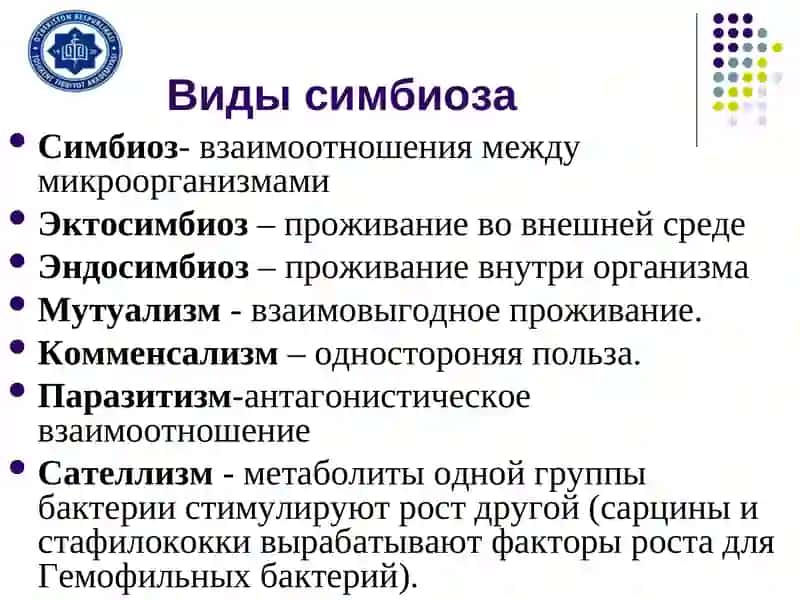 Экология микроорганизмов 4