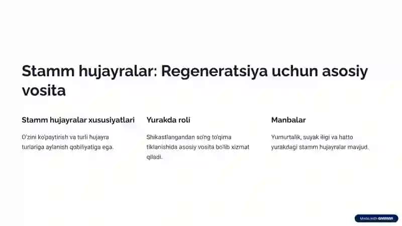 Yurak mushagi regeneratsiyasi: Muammolar va yechimlar 4