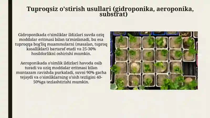Ko'chat yetishtirishning zamonaviy usullari 4