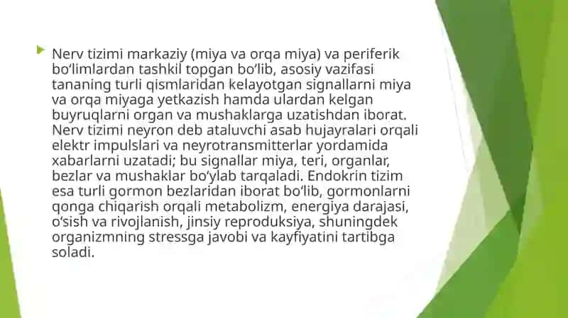 Nerv va endokrin tizim 4