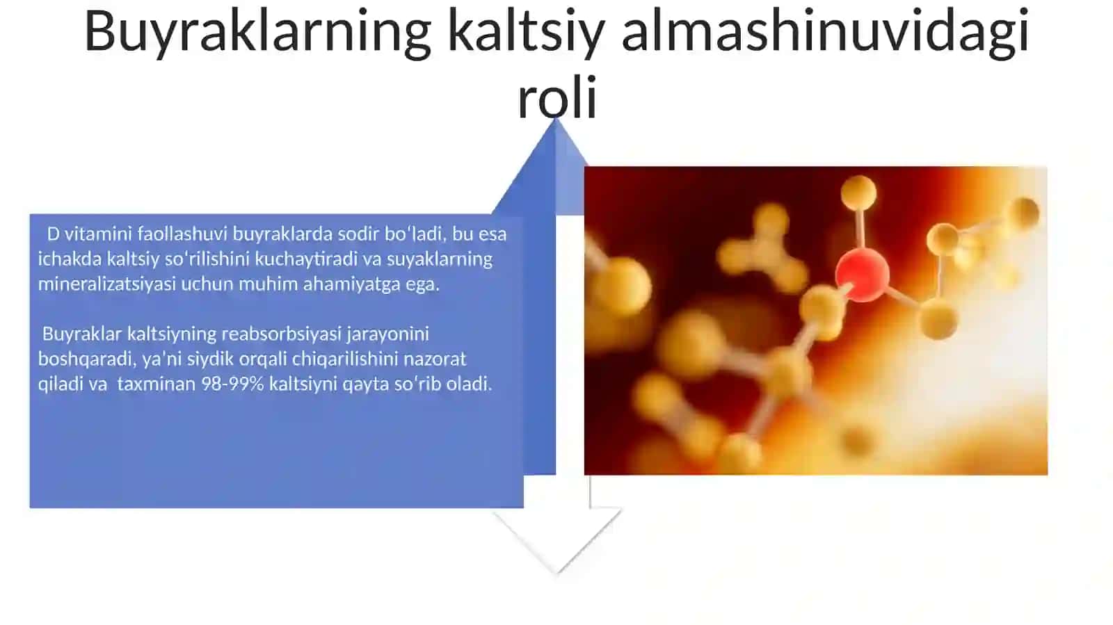 Buyraklarning kalsiy, fosfor va bikarbonat almashinuvidagi roli 4