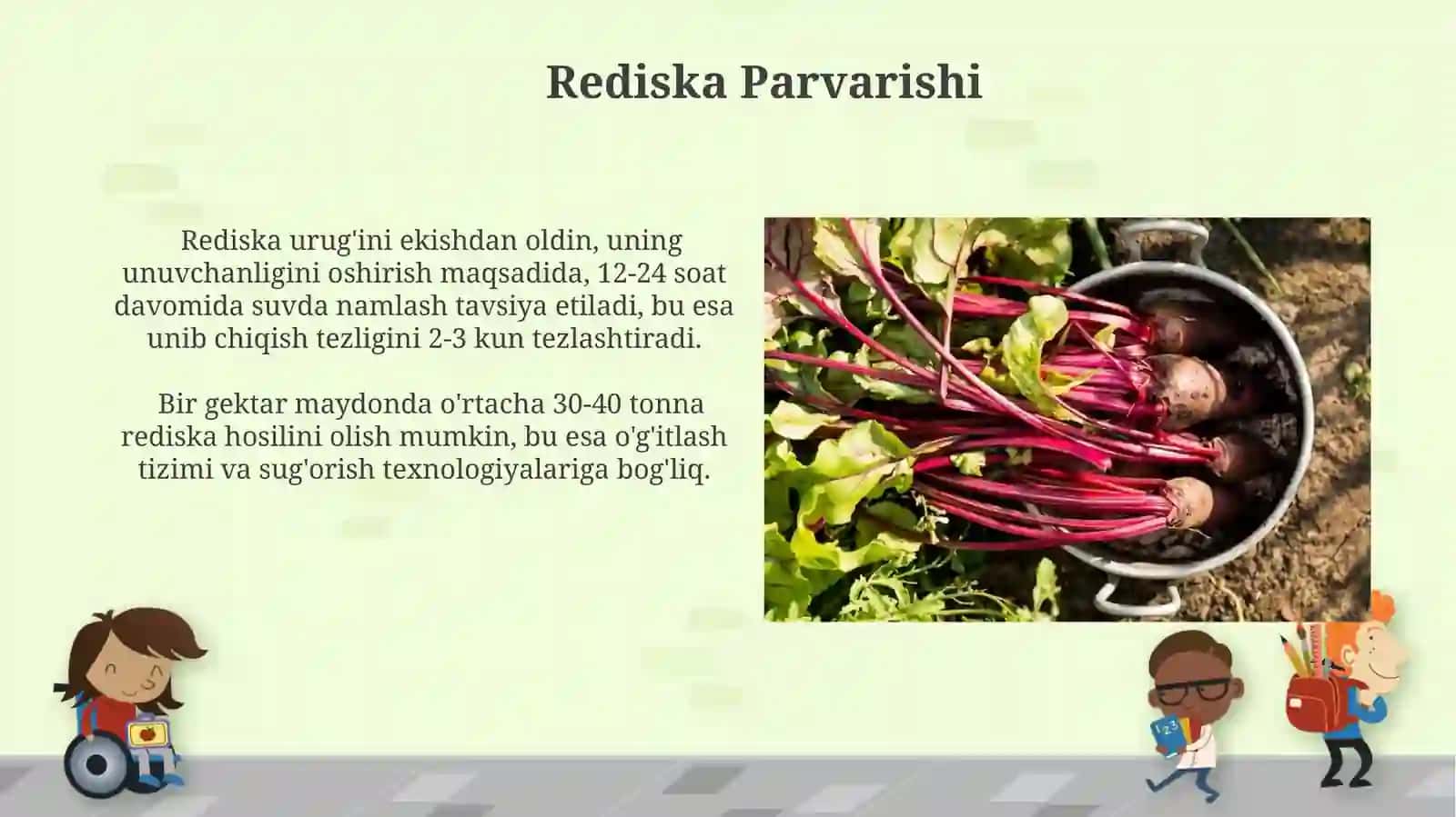 Rediska O'simligi 4