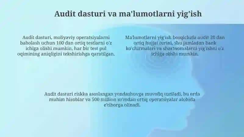 Pul mablag'lari harakati bilan bog'liq muammolar auditini tashkil etish va o'tkazish tartibi 4