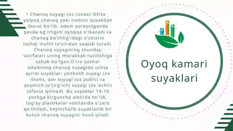 Oyoq suyaklari 4