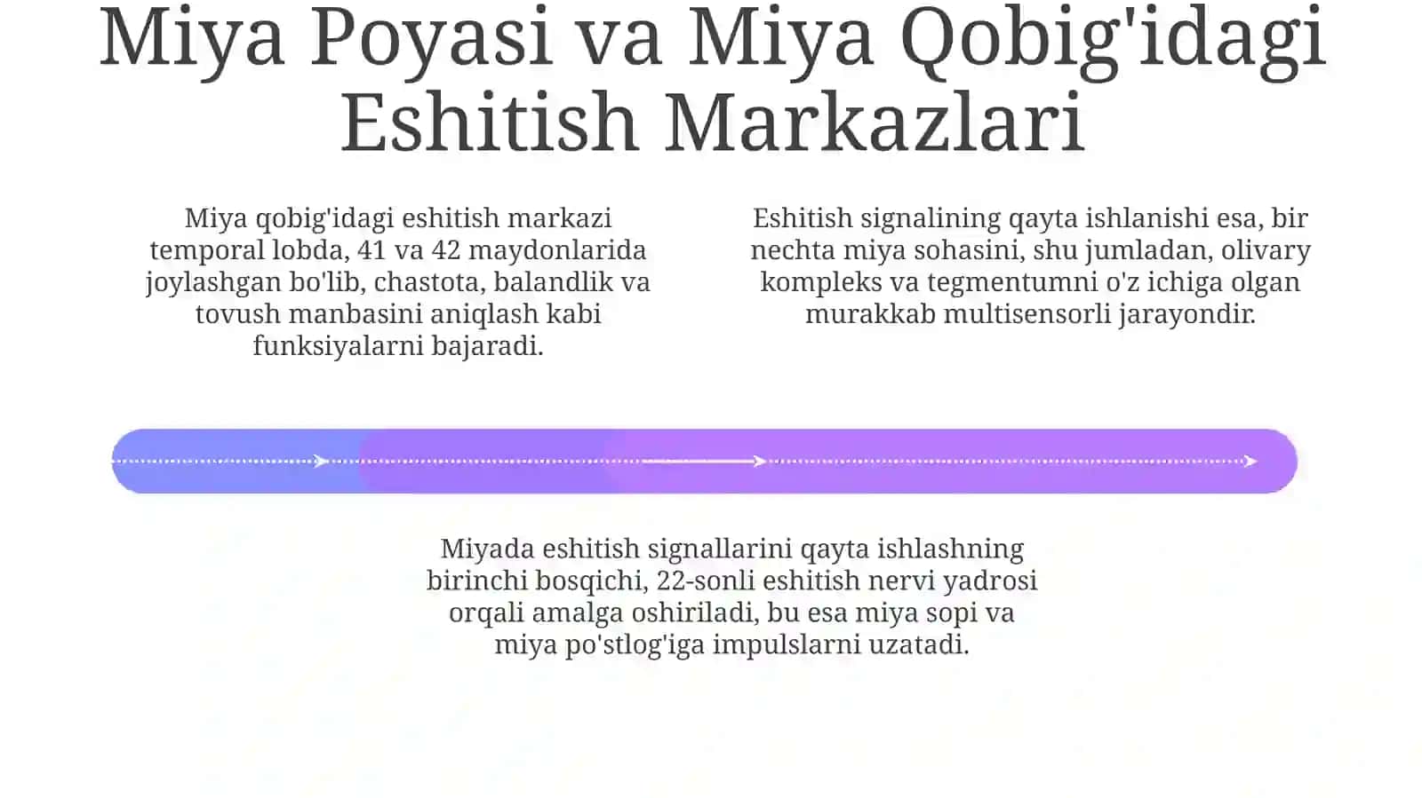 Ovoz Tahlil Qilgichining Tuzilishi va Funksiyalari 4