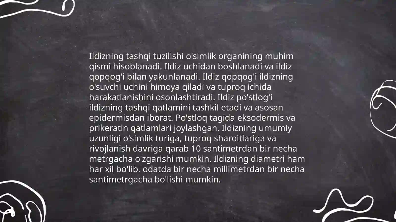 Ildiz tuzilishi va turlari 4