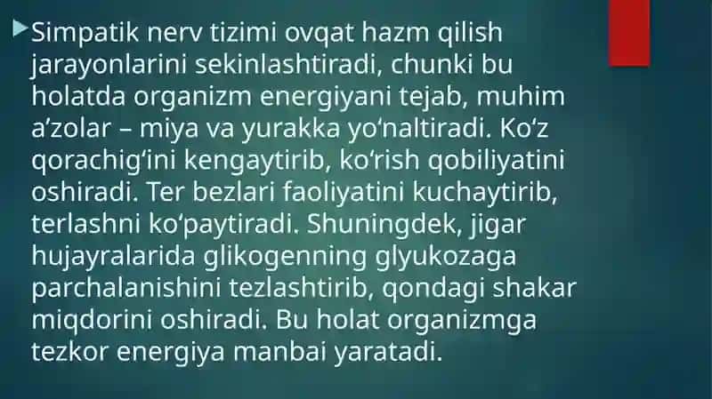 Simpatik va parasimpatik nerv tizimi funksiyalari 4