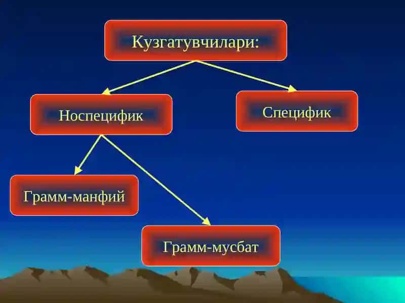 Пиелонефрит 4