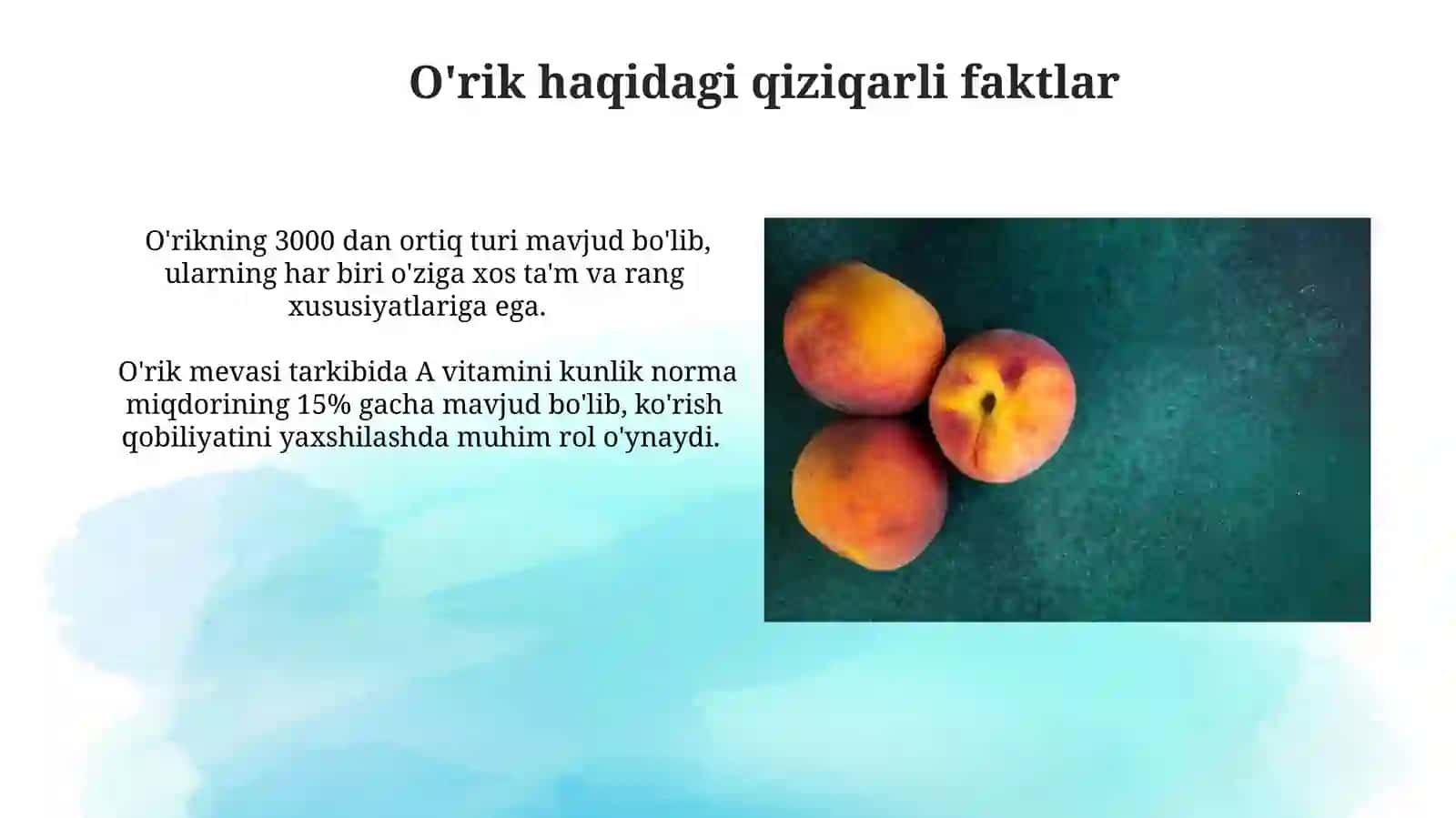 O'rikning Kelib Chiqishi va Tarixi 4