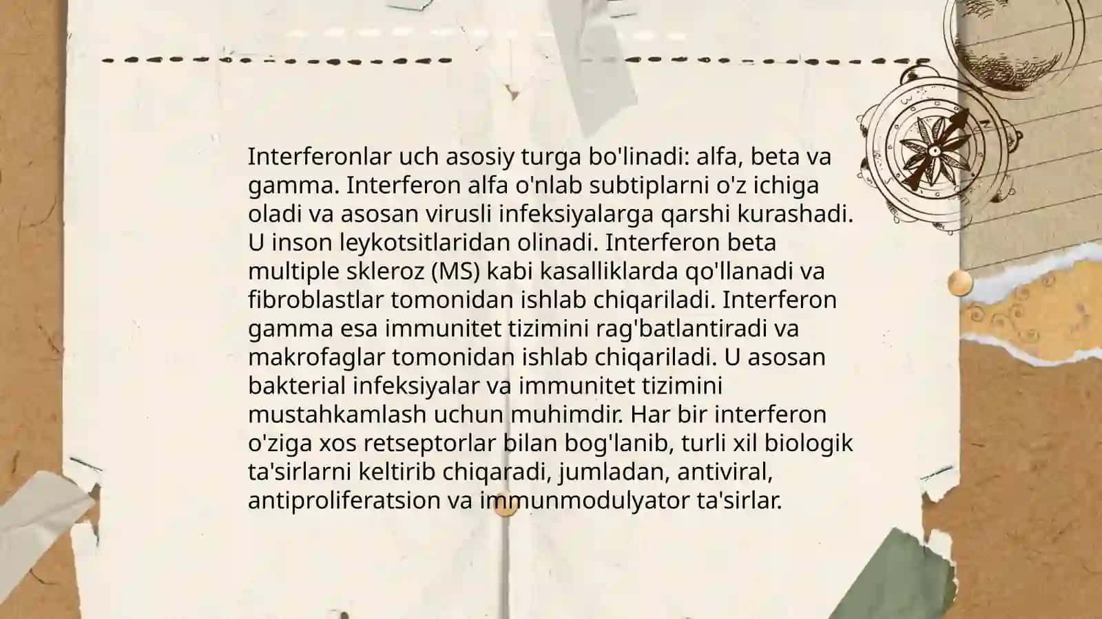 Tasnif 4