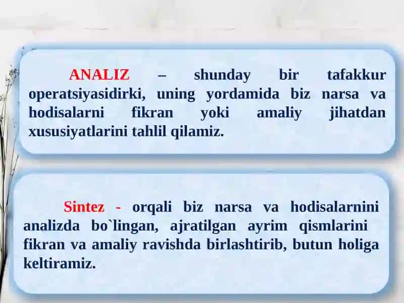 Maktabgacha yoshdagi bolalarda tafakkur rivojlanishi va psixodiagnostikasi 4
