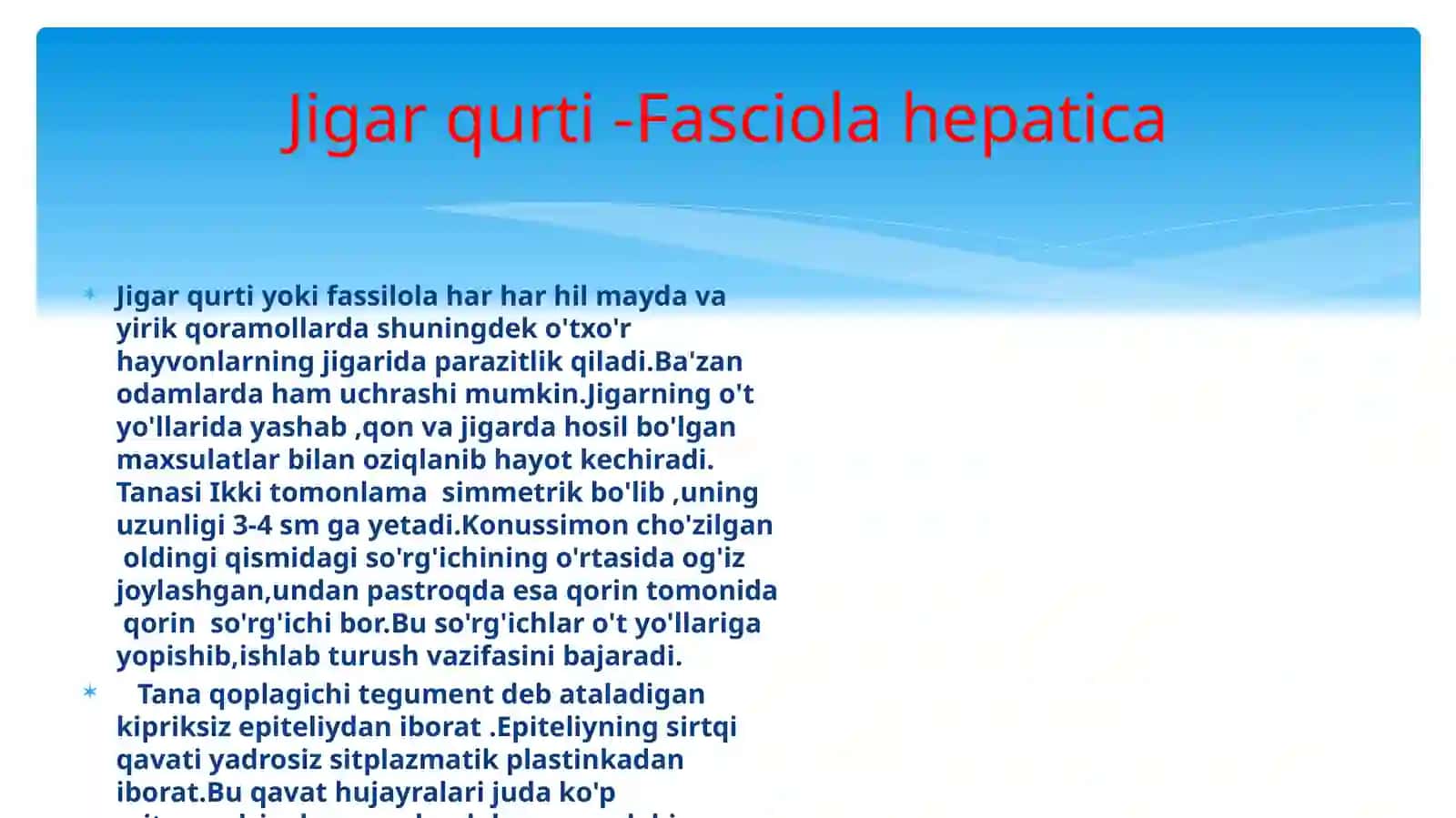 Jigar qurtining tuzilishi 4