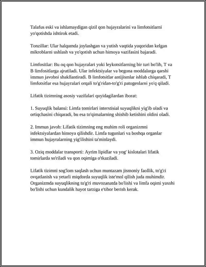 HAZM NAYINING LIMFOTIK TUZILMALARI 4