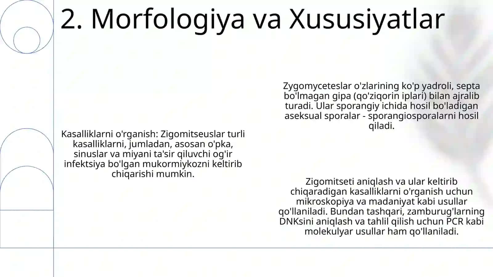 Zigomitsetlar sinfi vakillari qo'zg'atuvchi kasalliklarni o'rganish 4