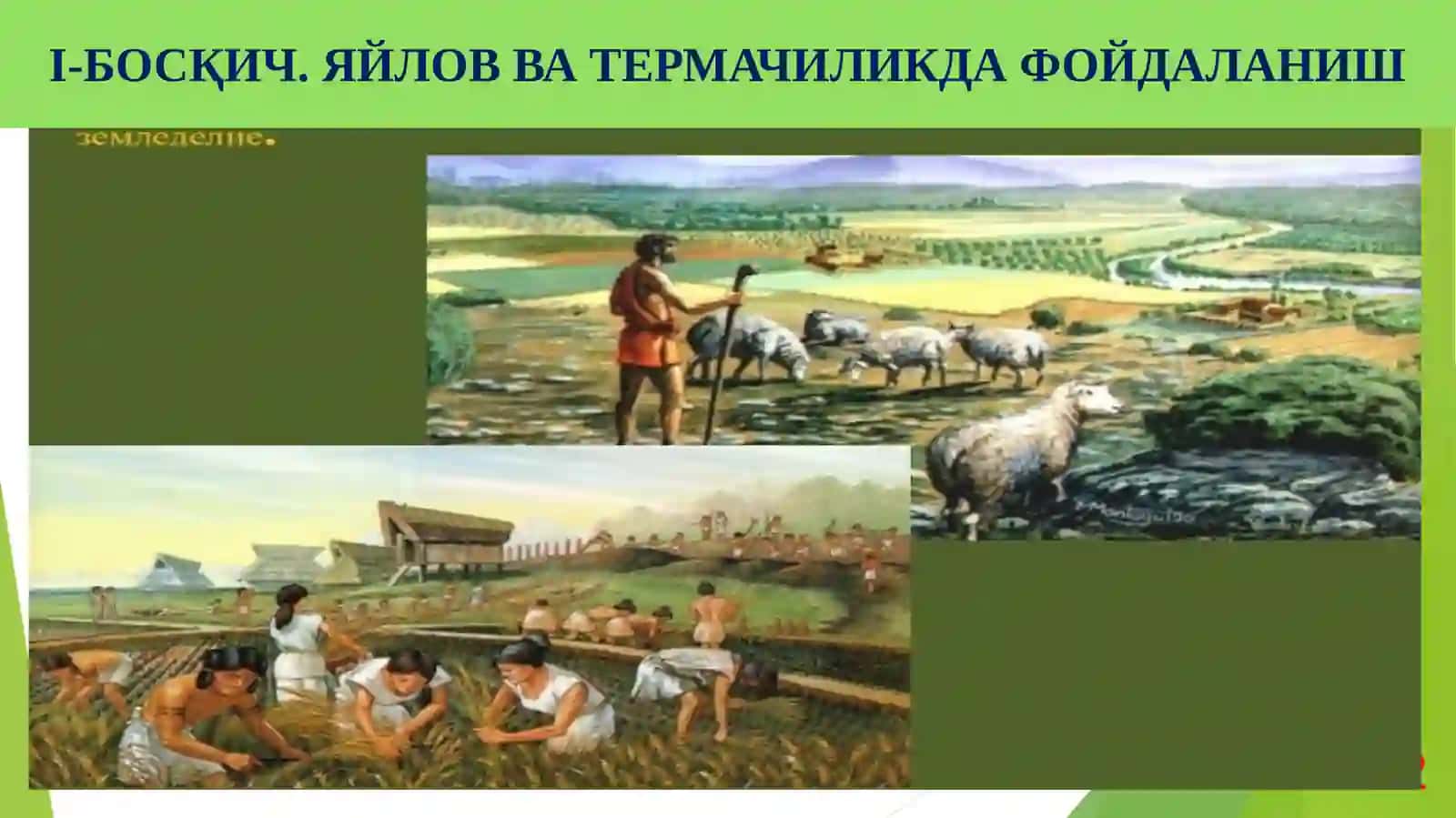 Экология ҳуқуқи 4