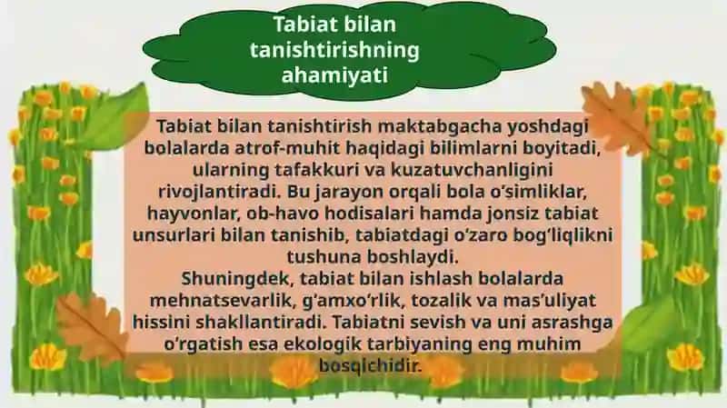 Tabiat bilan tanishtirishda guruhdan guruhga murakkablashuv jarayoni 4