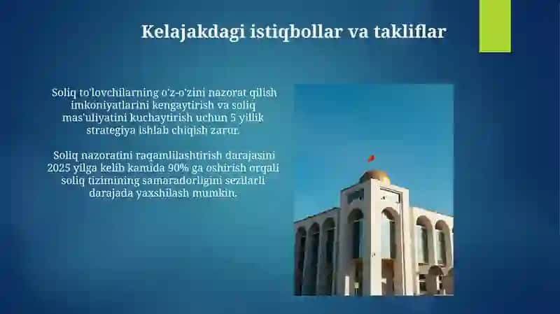 Soliq nazorati sohasidagi muammolar va ularni hal etish yo'llari 4