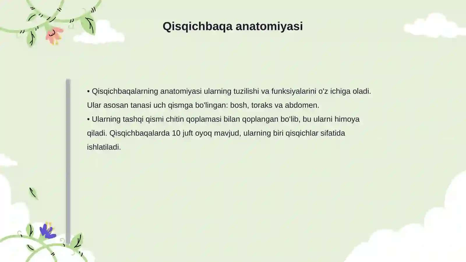 Qisqichbaqa hayoti va tuzilishi 4