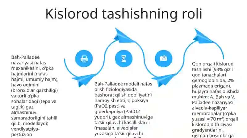 Nafas olish jarayonini o'rganishda A.Bax va V.Pallade nazariyasi 4
