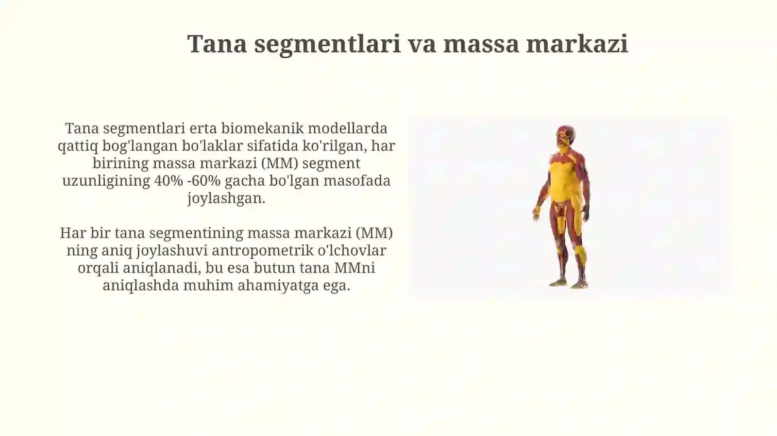 Odam gavdasi massasining geometriyasi 4