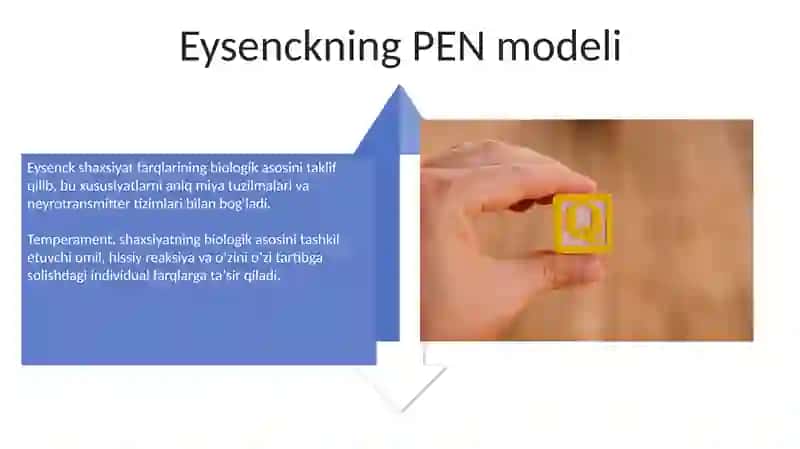 Temperament va uning nazariyalari 4