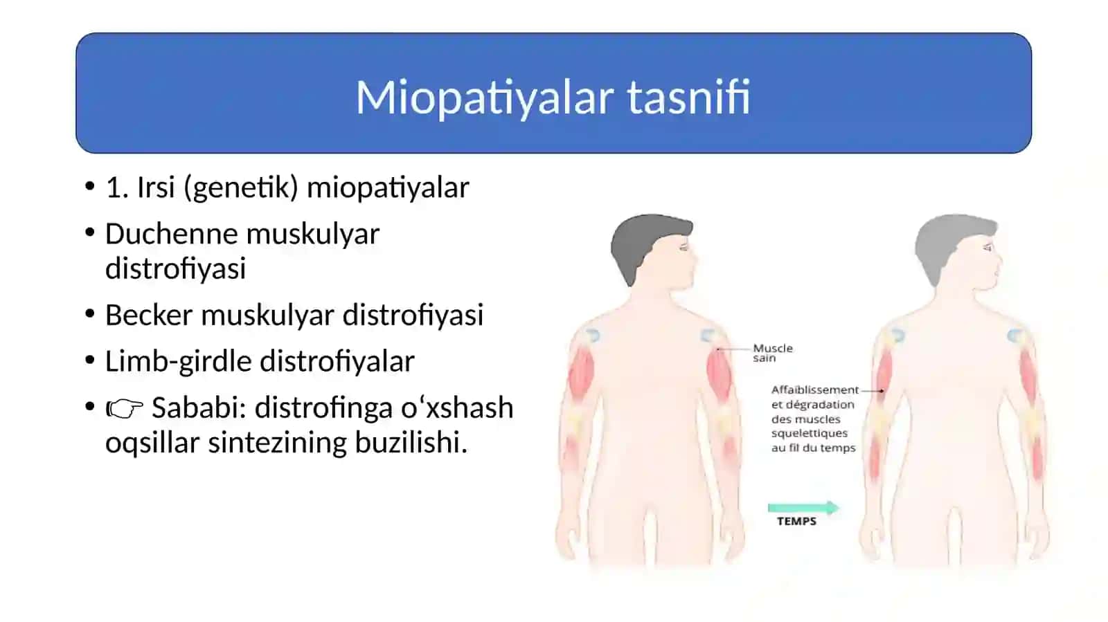 Miopatiylar.Mushaklardenervatsiyasi 4