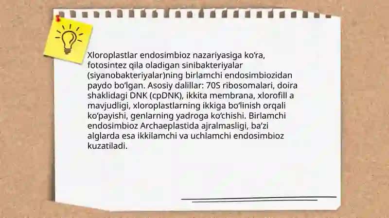 O'simliklarning kelib chiqishi va organlarining paydo bo'lishi 4