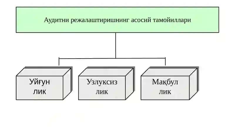 AUDIT TEKSHIRUVINING TASHKILIY ASOSLARI, AUDIT STRATEGIYASI VA TEXNOLOGIYASI 4