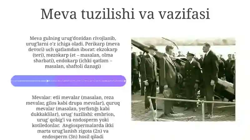 Urugʻ va mevalar.Urugʻning rivojlanishi 4