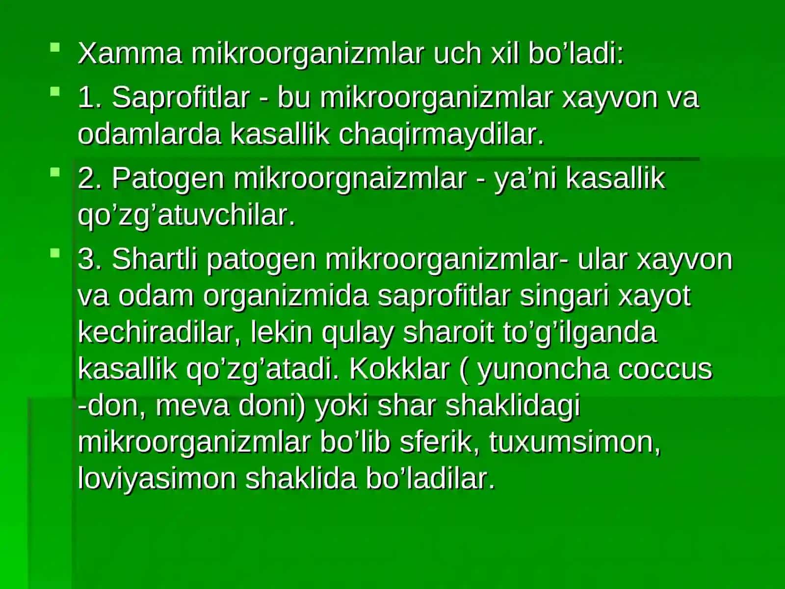 Biologiya yo’nalishi - Sharsimon bakteriyalar morfologiyasi 4