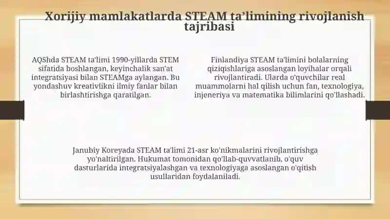 STEAM ta’limi: mohiyati, maqsadlari va vazifalari 4
