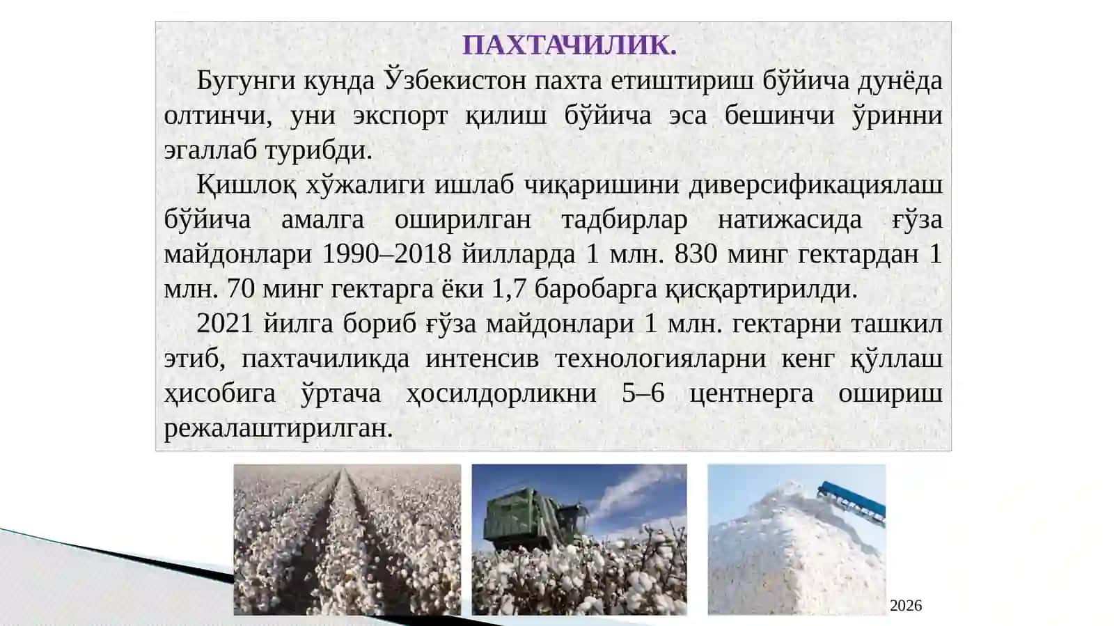 Пахтачиликда томчилатиб суғориш технологияларини жорий етиш ва унинг иқтисодий афзалликлари 4