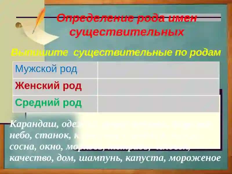 Род имён существительных 4