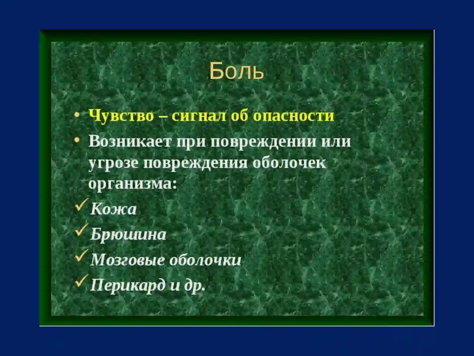 Физиология висцеральной анализаторной системы 4