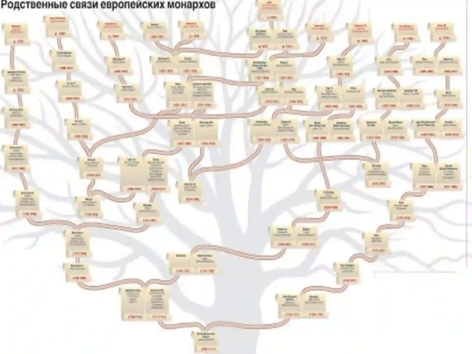 Qarindoshlaro`rtasidaginikohningsalbiyoqibatlari 4