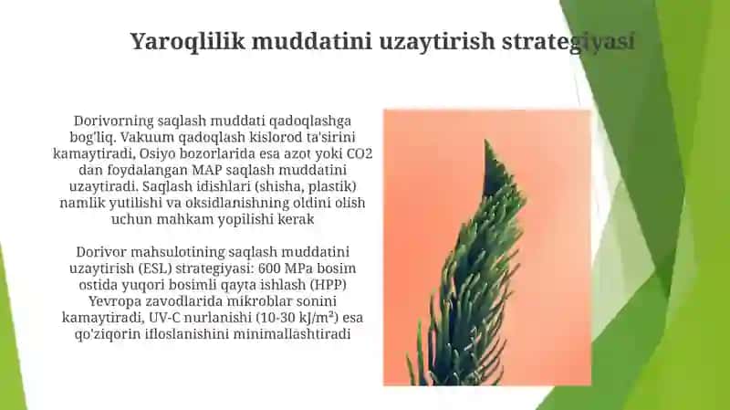 Dorivor oʻsimlik mahsulotlarini idishlarga joylash saqlash qoidalari 4