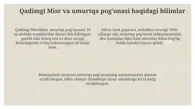 Odamanatomiyasi Tarixi 4