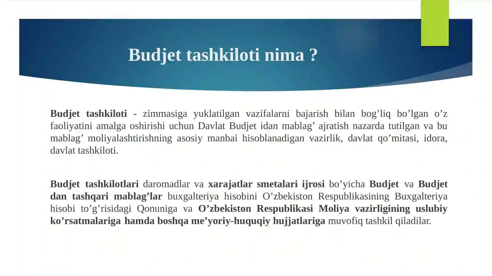 Budjet tashkilotlarida moliyaviy hisobotlar 4