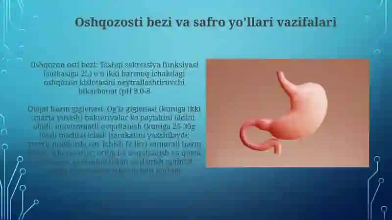 Ovqat hazm qilishning fiziologiyasi va gigiyenasi 4