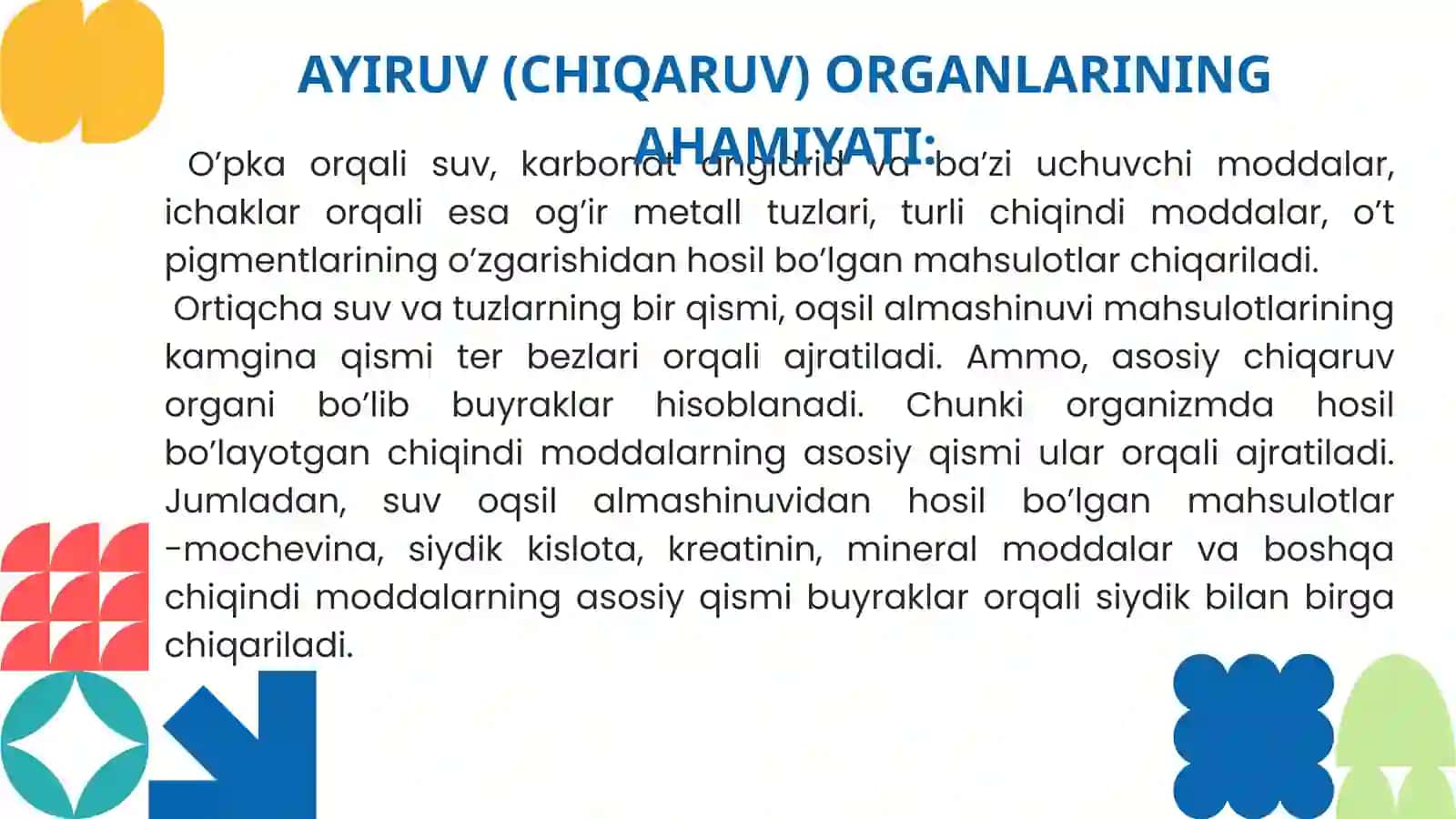 Ayiruv tizimi fiziologiyasi 4