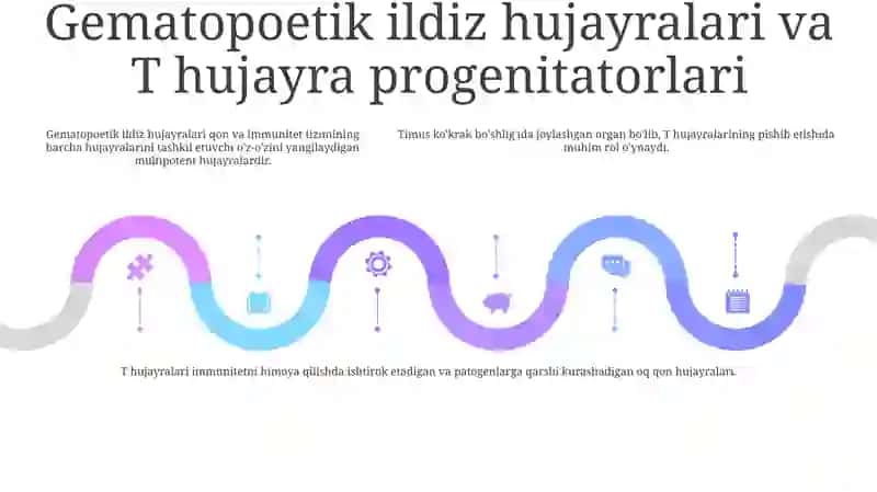 Timusdagi T Limfositlarning Yetilishi Jarayoni 4