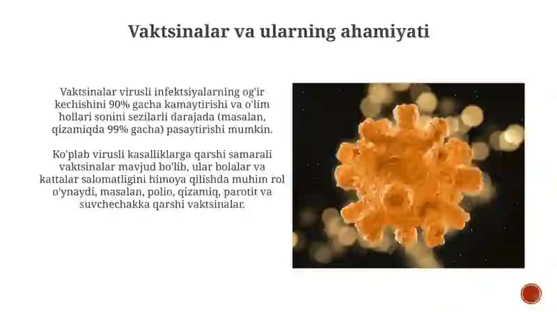 Virus infeksiyasi 4
