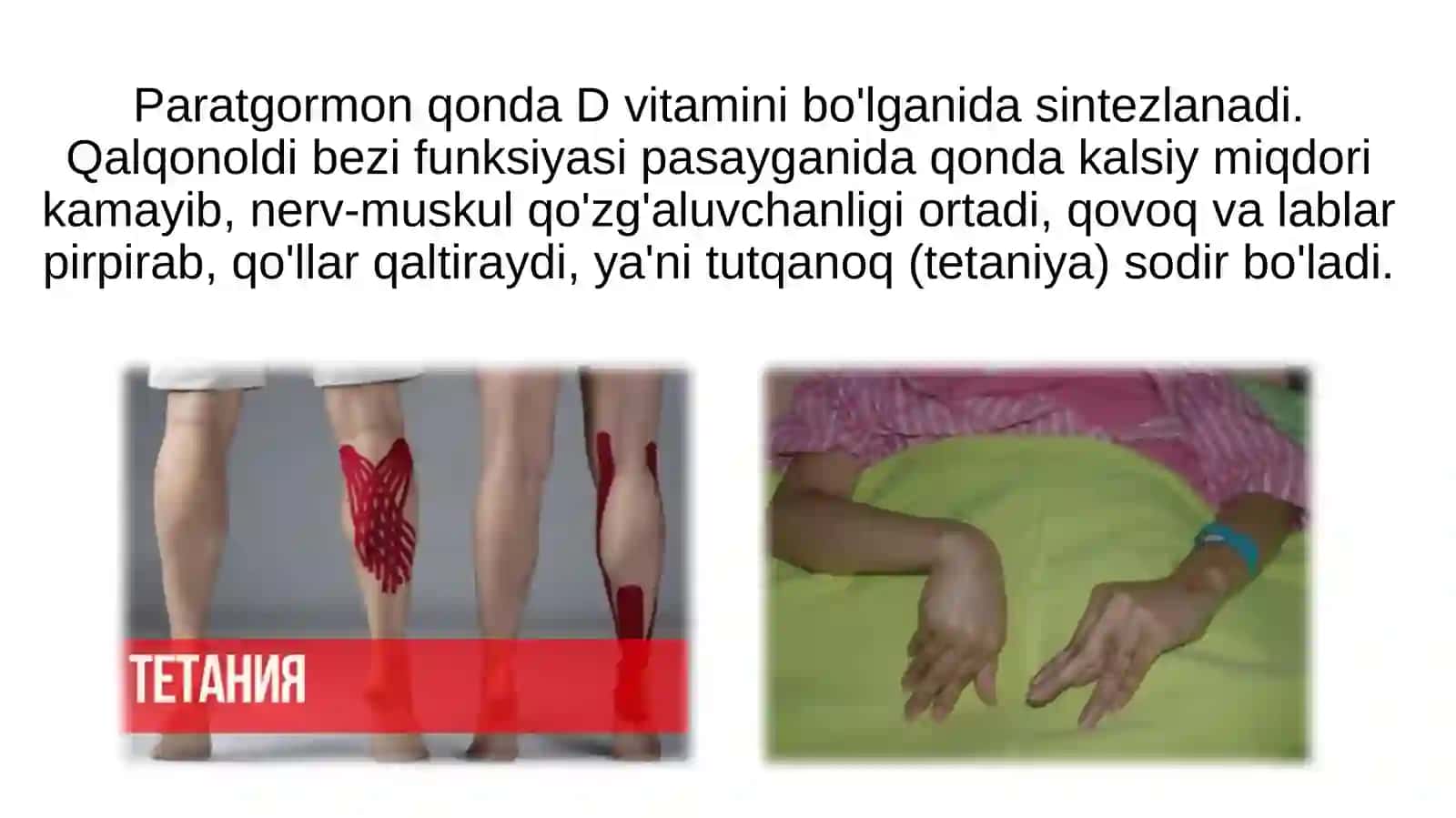 Qalqonoldi,gipofiz,ayrisimon,buyrakustibezlari 4