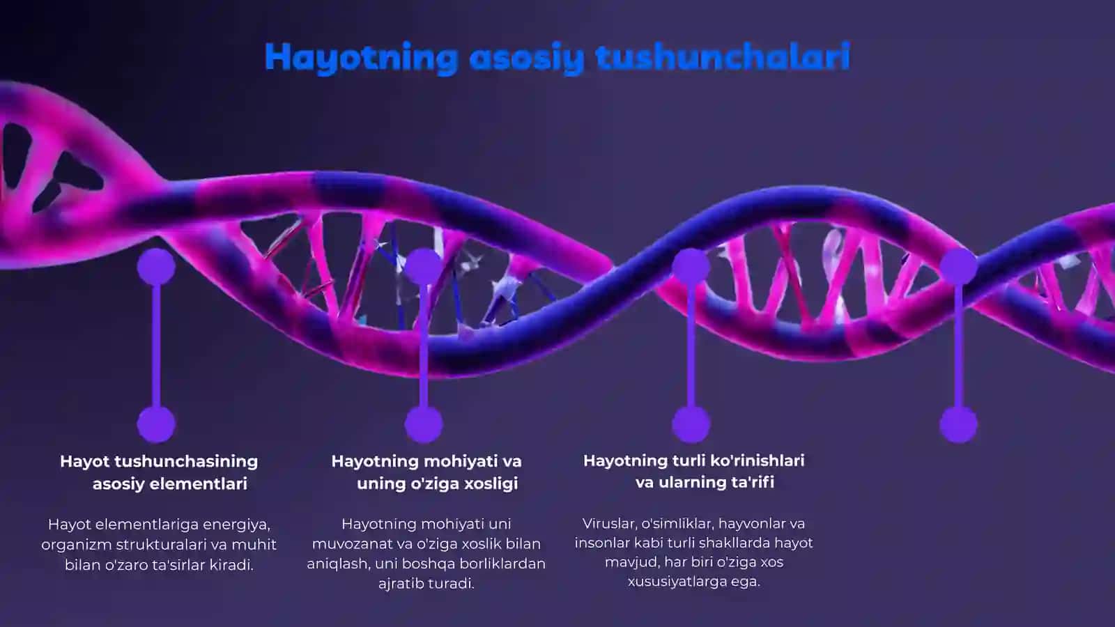 Hayotning mohiyati haqidagi tasavvurlarning rivojlanishi 4