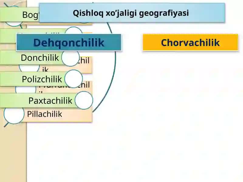 Qishloq xo’jaligi va sanoatni geografik jihatdan o’rganish 4