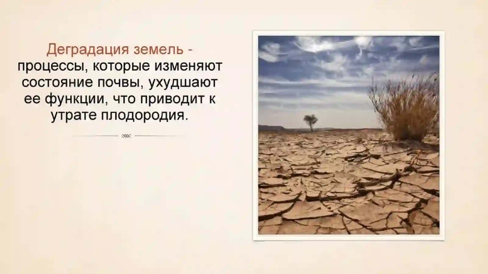 Лекция №4Тема: Деградация и защита почвы 4